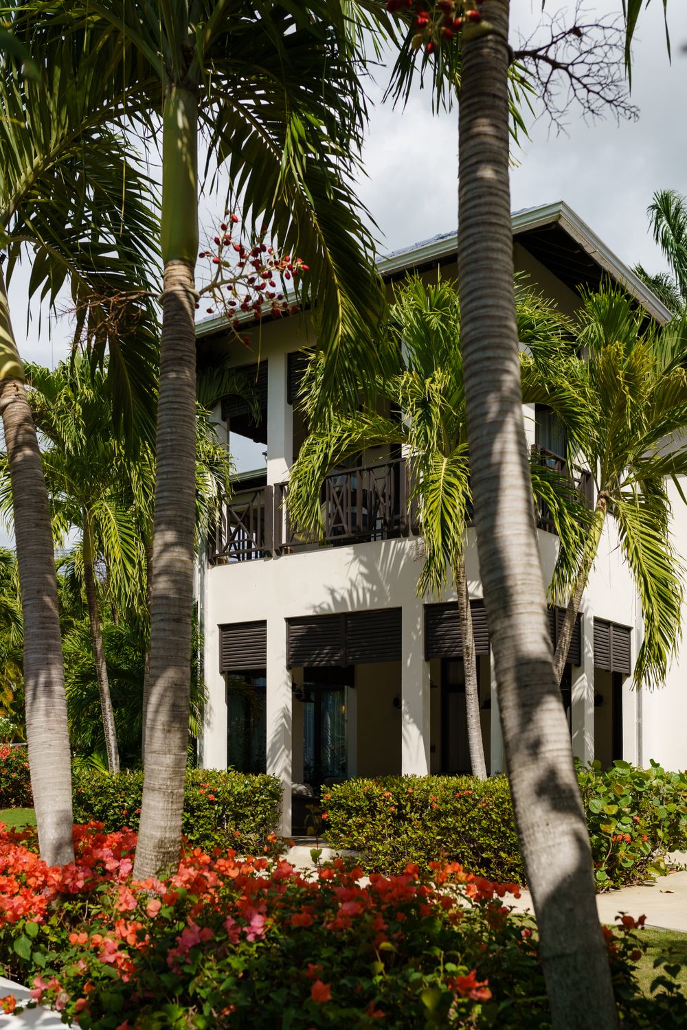 Modern white beach house with tall palm trees and blooming red flowers in the tropical landscaping.