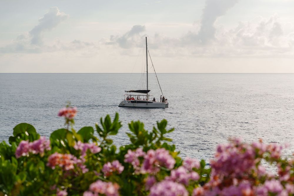 A sailboat anchored in tranquil blue waters, framed by pink bougainvillea flowers in the foreground.