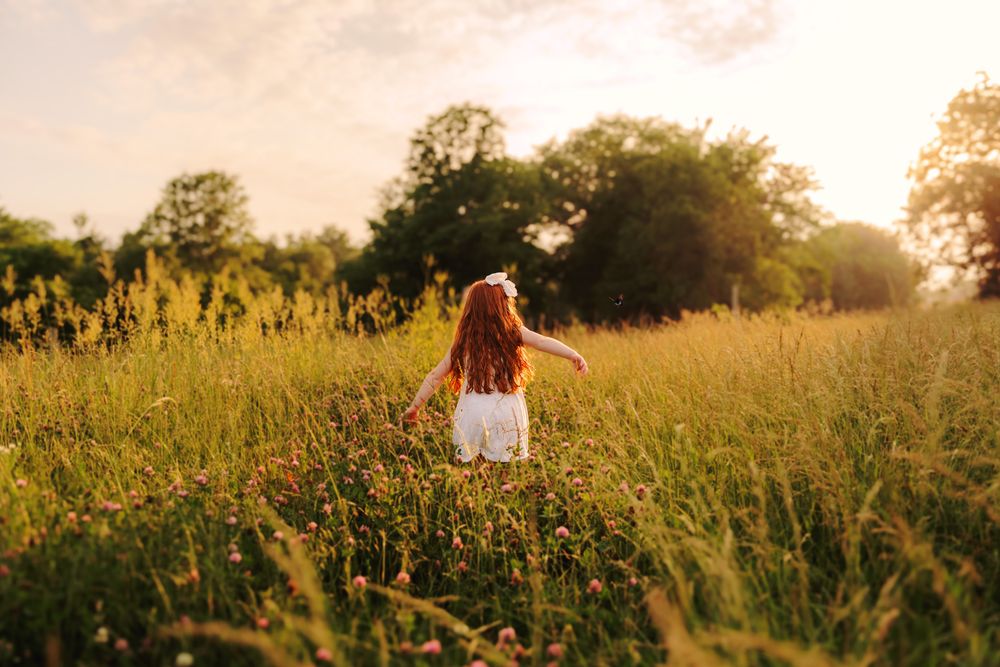 Long grass field backlit by warm golden sunlight at sunset creating a ethereal natural scene.