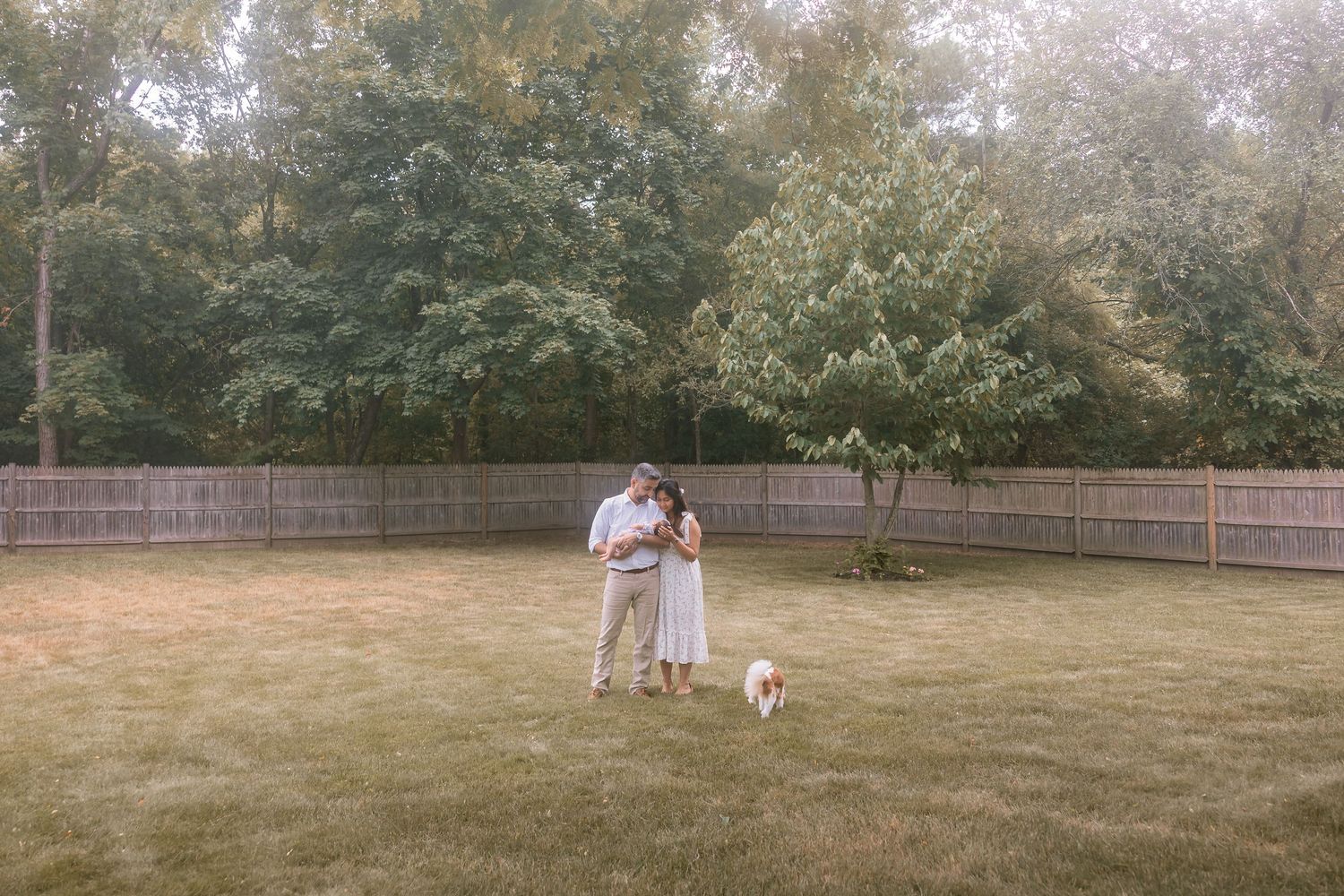 A group plays fetch with a dog on a grassy field surrounded by trees and a wooden fence.