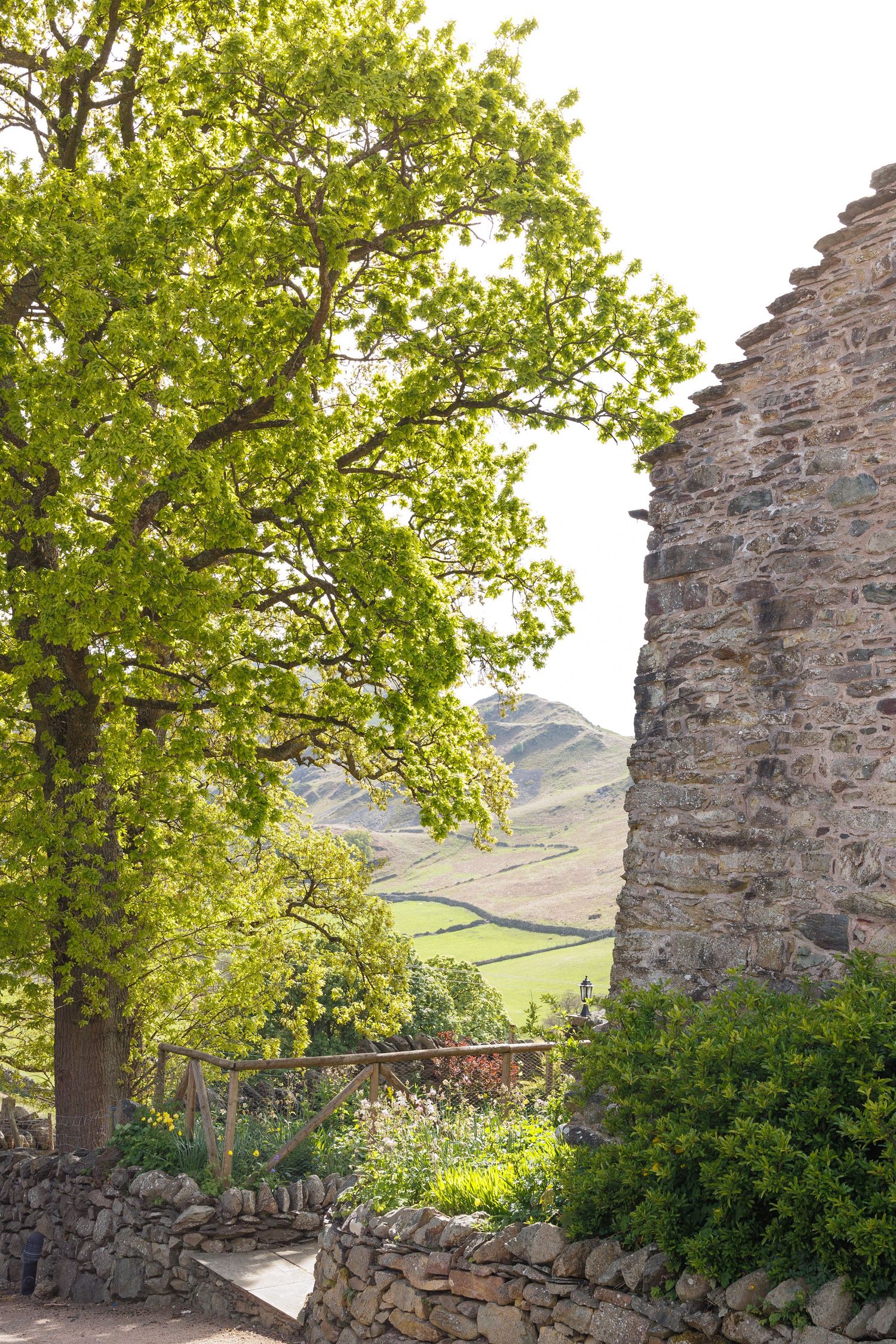 Rustic stone wall and lush green tree frame a view of rolling hills in the scenic countryside.