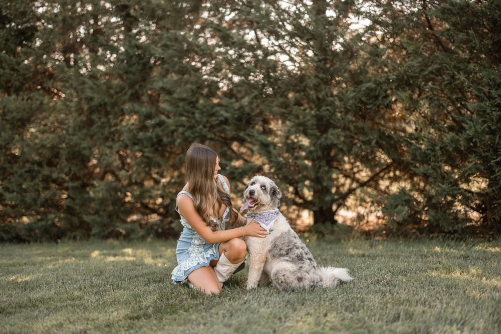 A series of connected photographs show two people sitting in a grassy field at sunset enjoying each other's company.