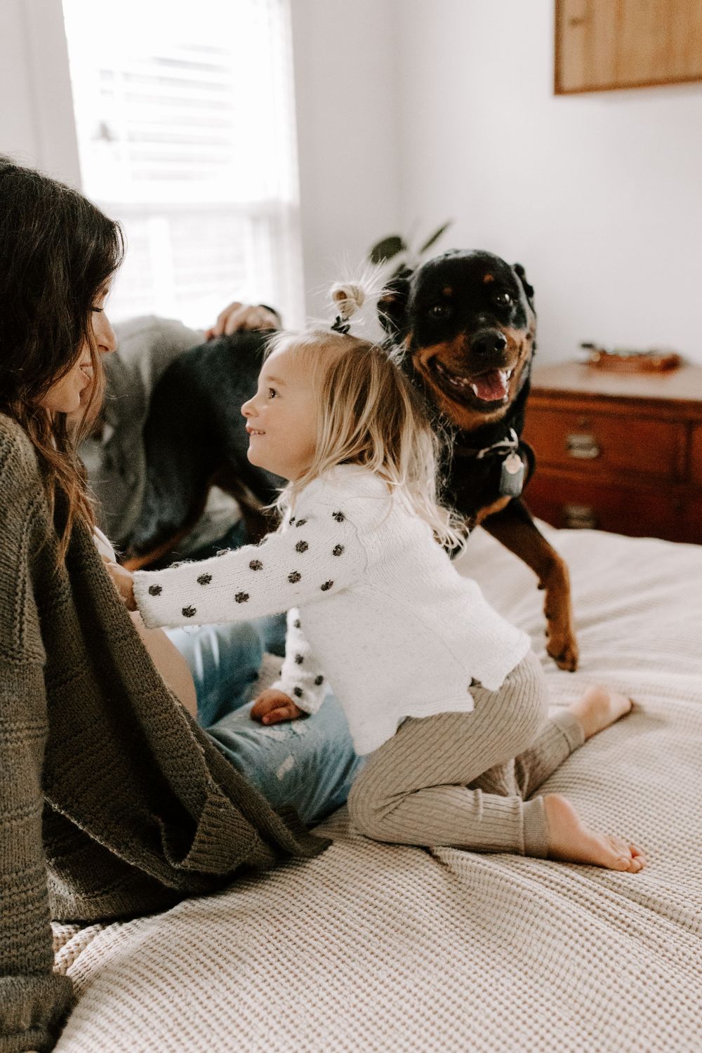 A relaxed moment on bed showing a child in polka dot shirt playing with a happy Rottweiler dog.