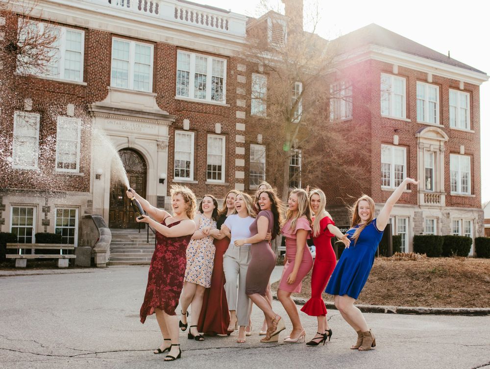 ontario vet college photographer in guelph