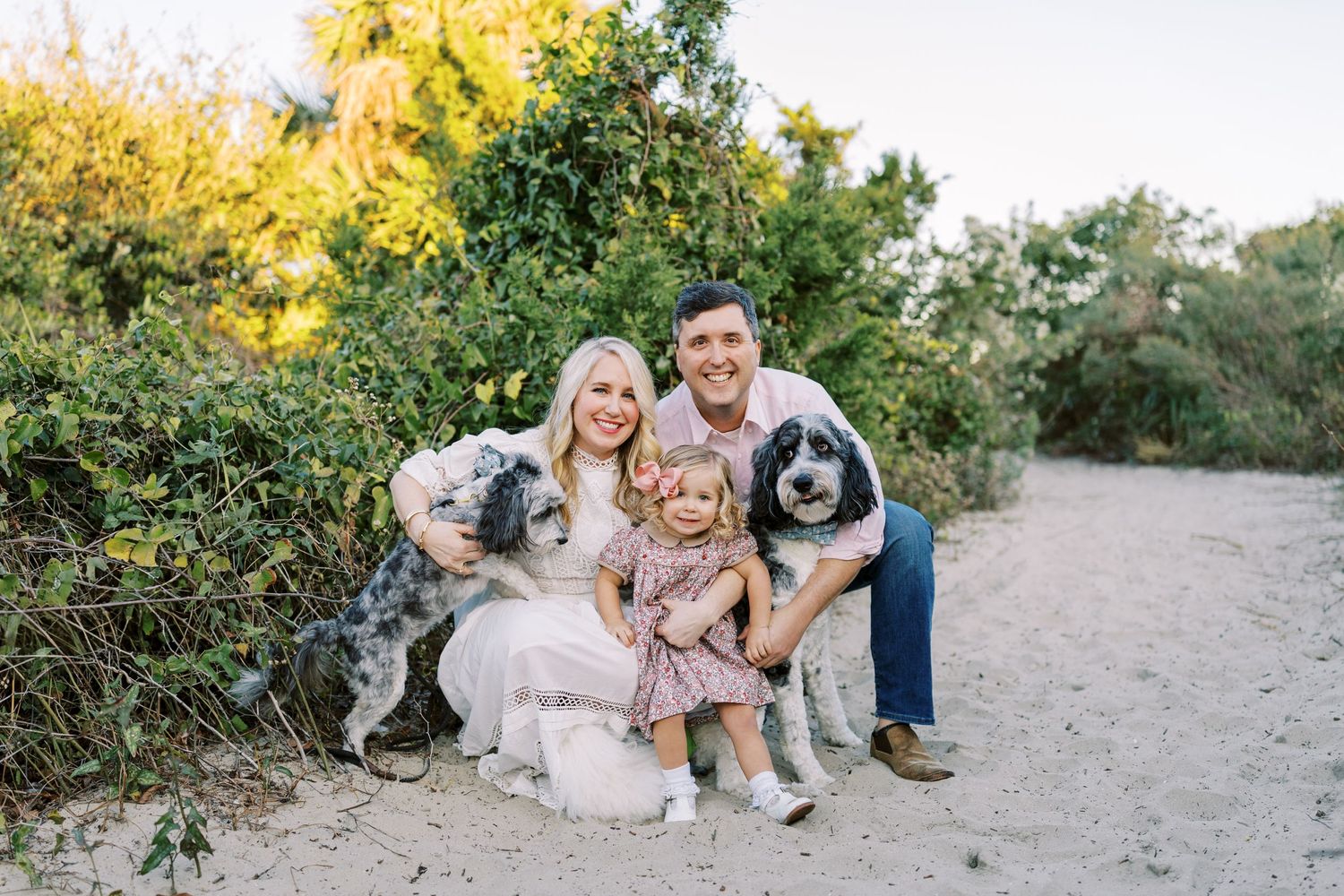 Group sits together with their three dogs on a sandy path surrounded by autumn foliage.