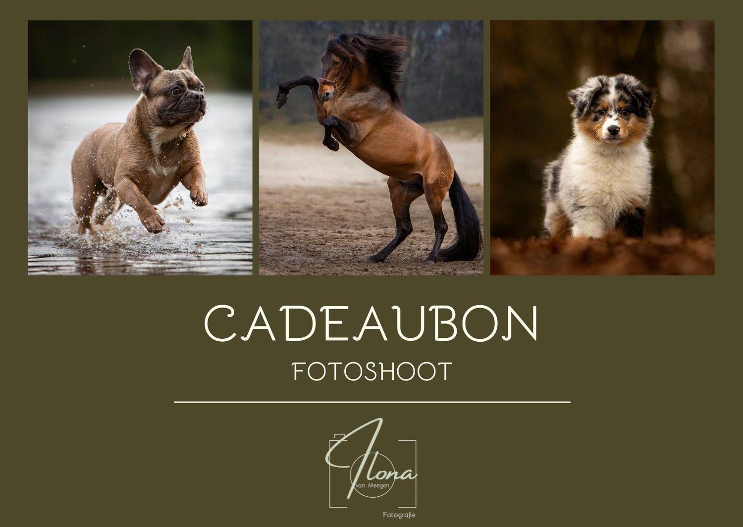 cadeaubon ilonavanmeegenfotografie