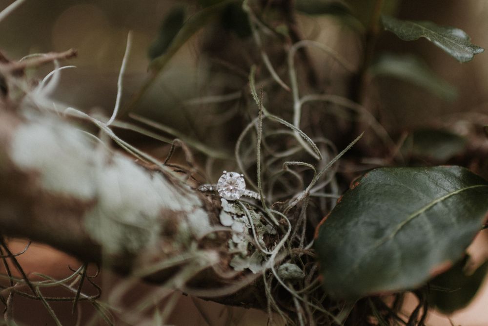 St. Simons Island engagement