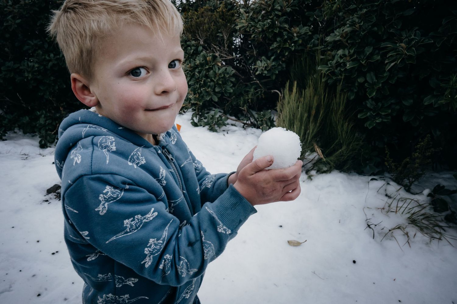 Taranaki photographer, family photography, Hawera photographer