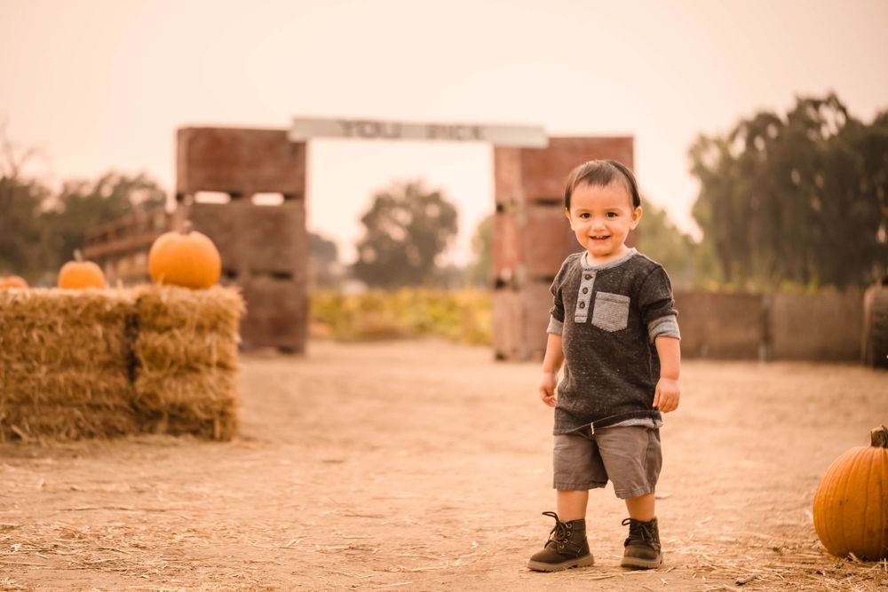 photos from a family session Clements ranch pumpkin patch in lockeford California