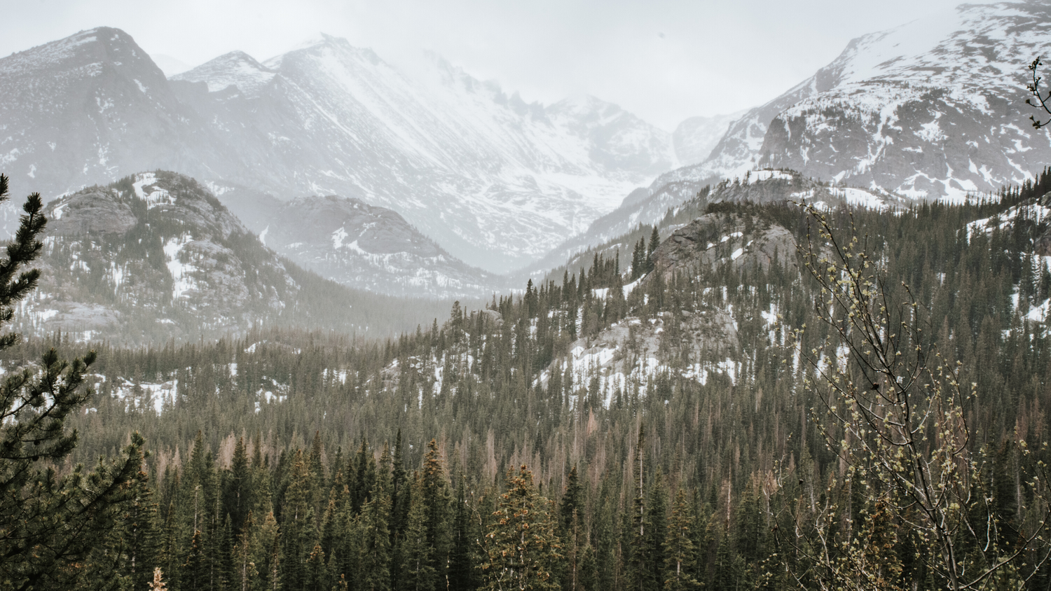 Hyde&Co Mountain Range