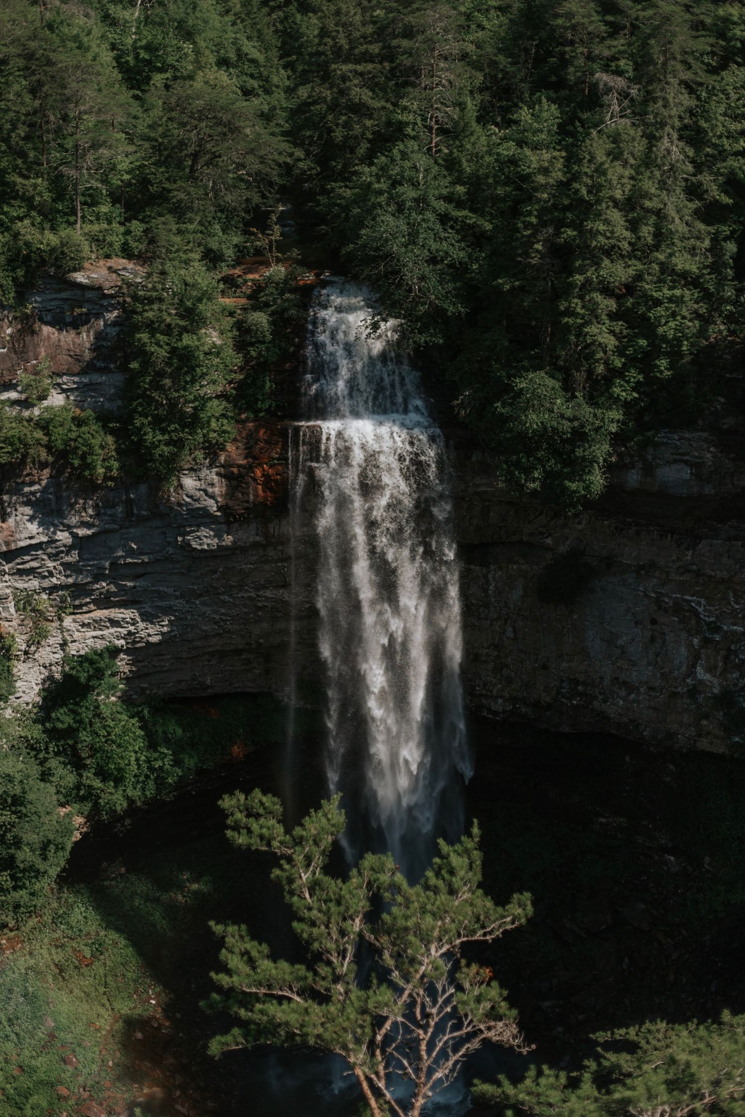 best places to elope in TN Fall creek falls spilling over the edge of a cliff.