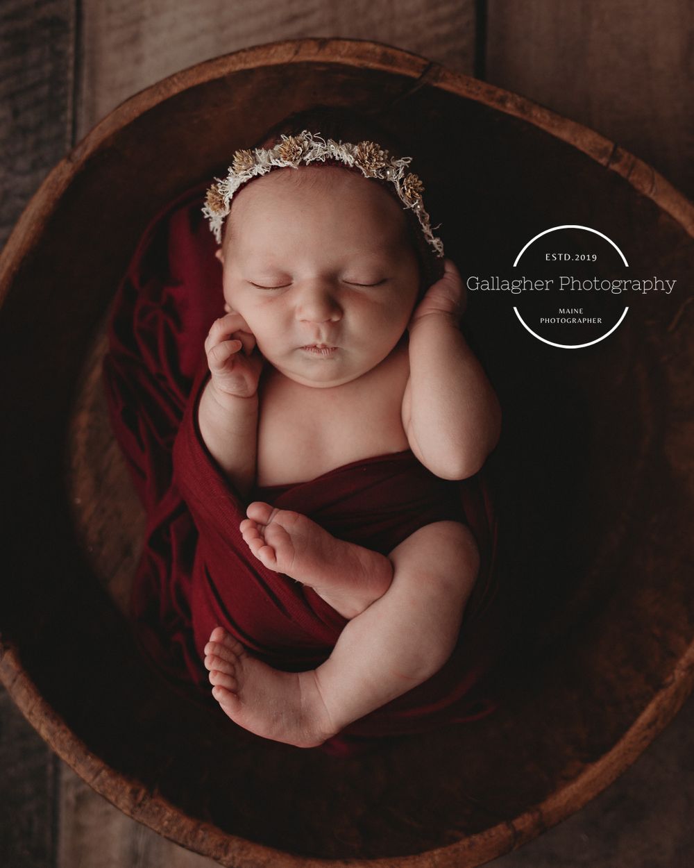 Professional newborn photo
