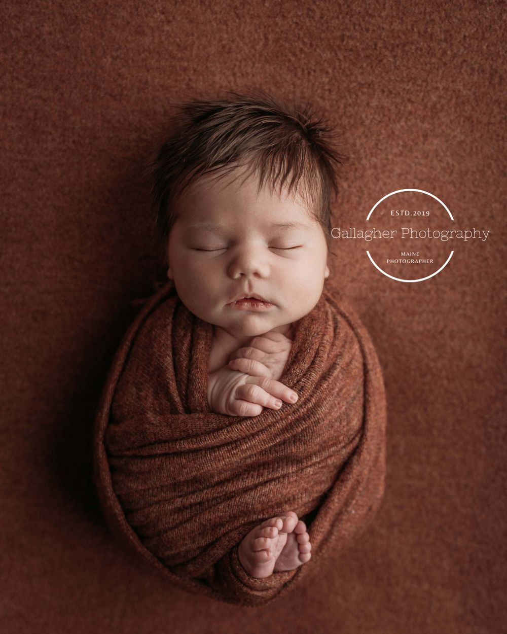 Professional newborn photo