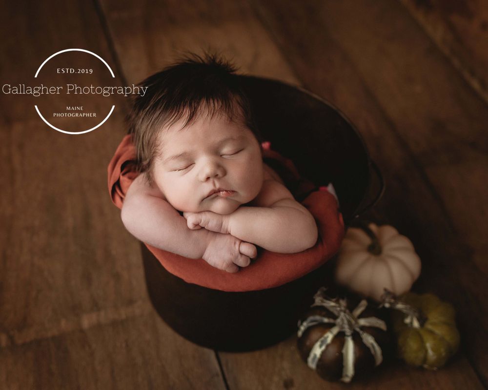 Professional newborn photo