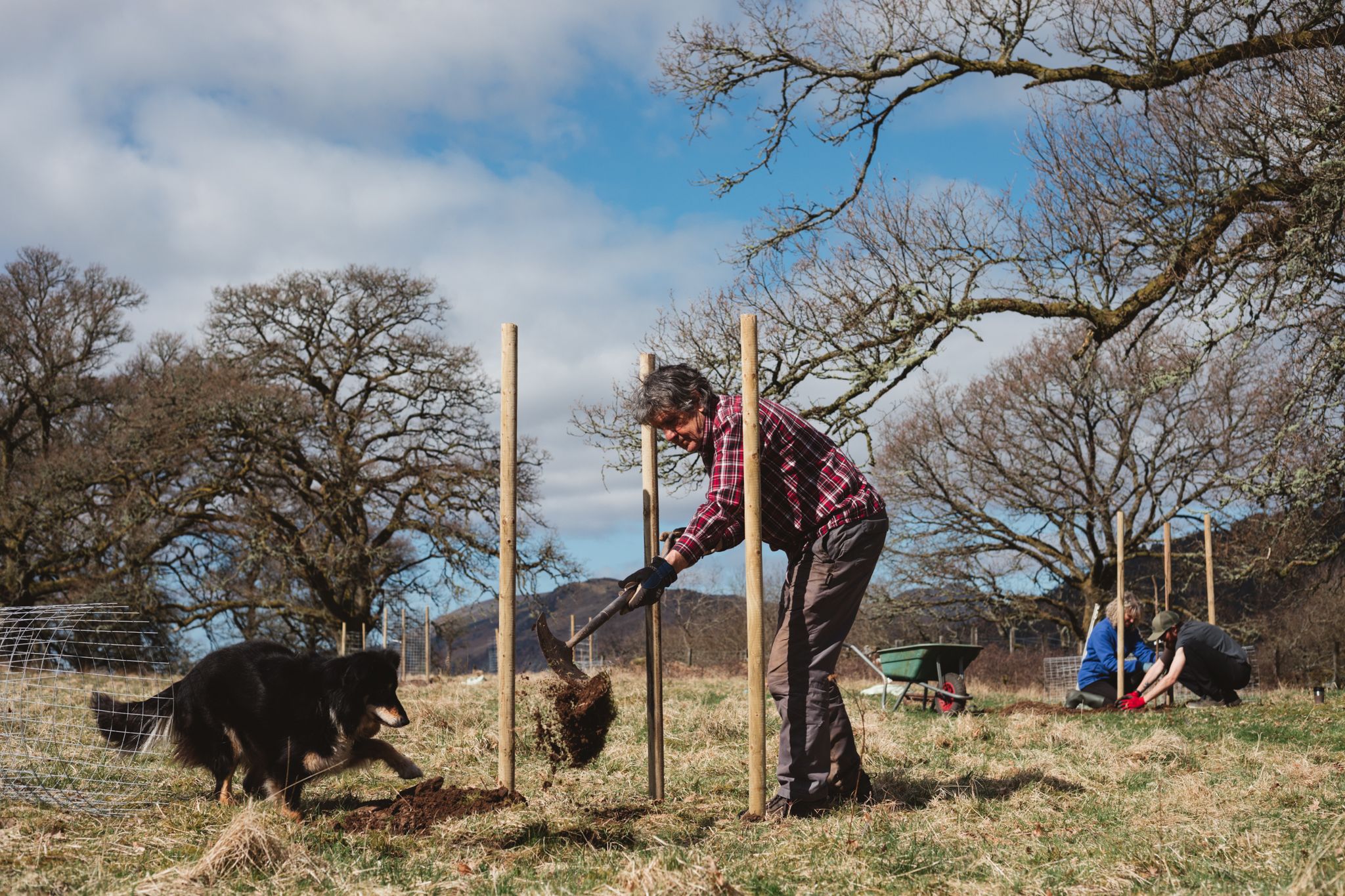 The Adventure Photographers family Tree planting in the Loch Lomond Trossachs National Park Scotland UK dog