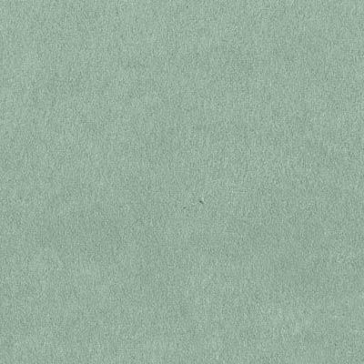 sage green suede album colour swatch