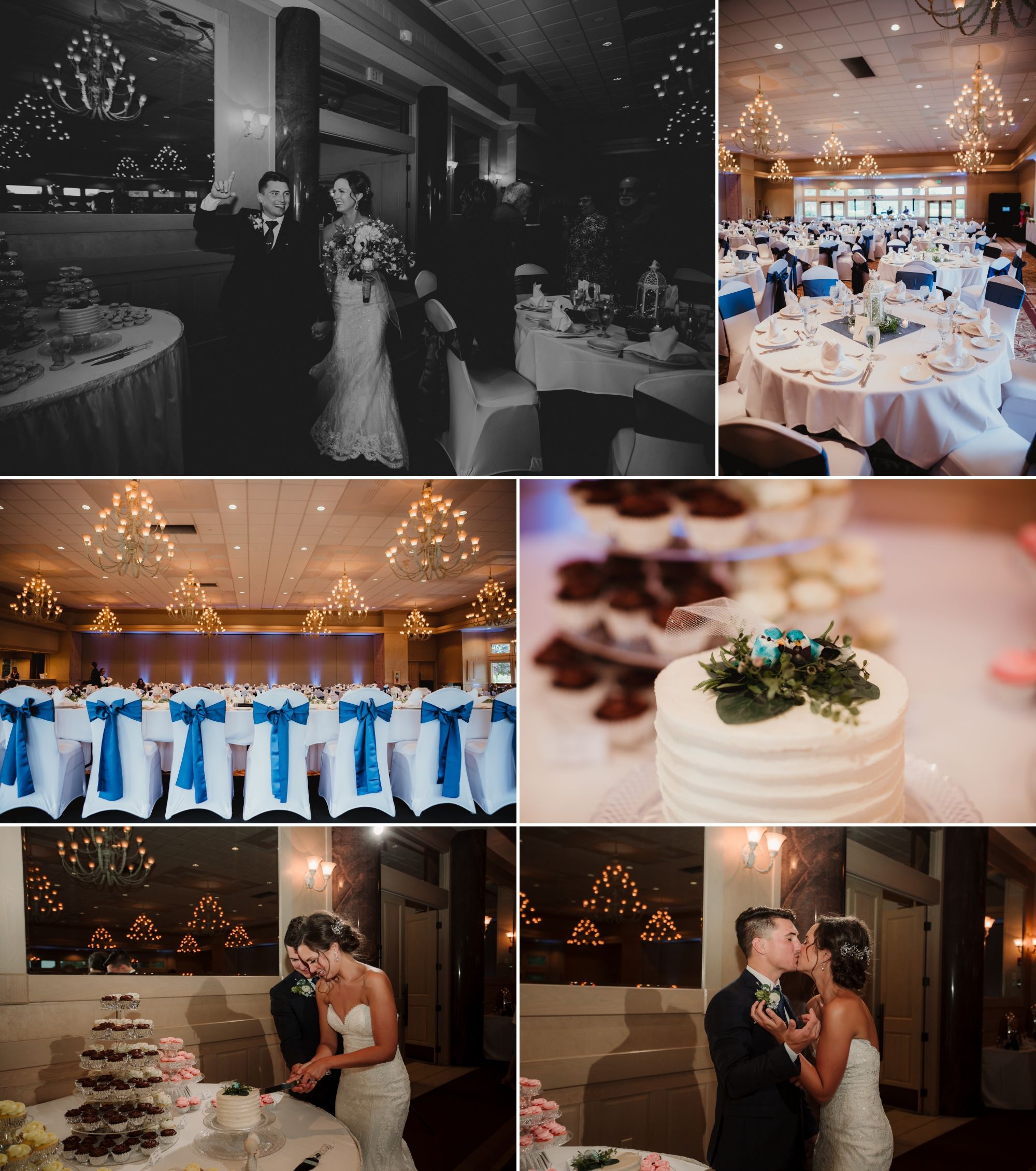 Bride and groom's reception entrance, cake cutting, cake topper birds, table settings.