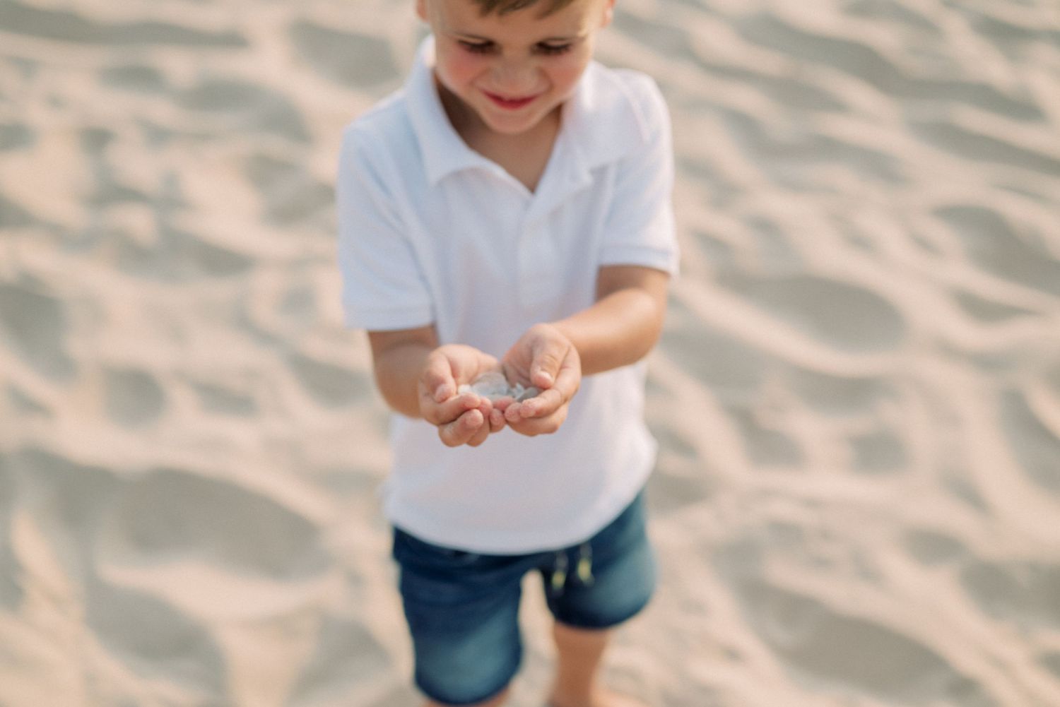 Child showing collected seashells while standing on rippled beach sand.