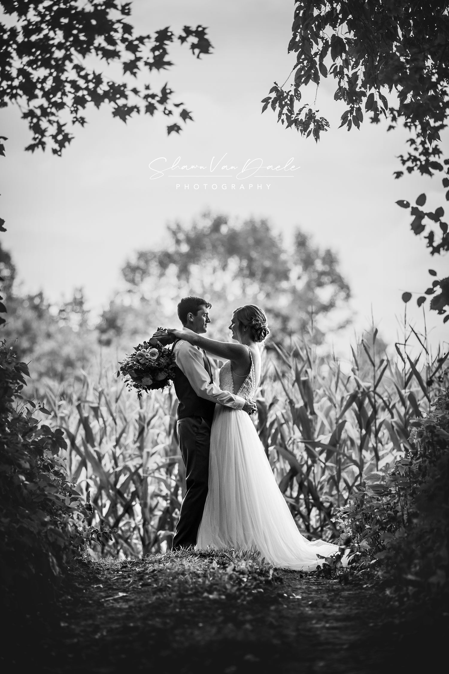 Charming rustic backyard wedding in Mount Brydges Ontario by London photographer Shawn Van Daele