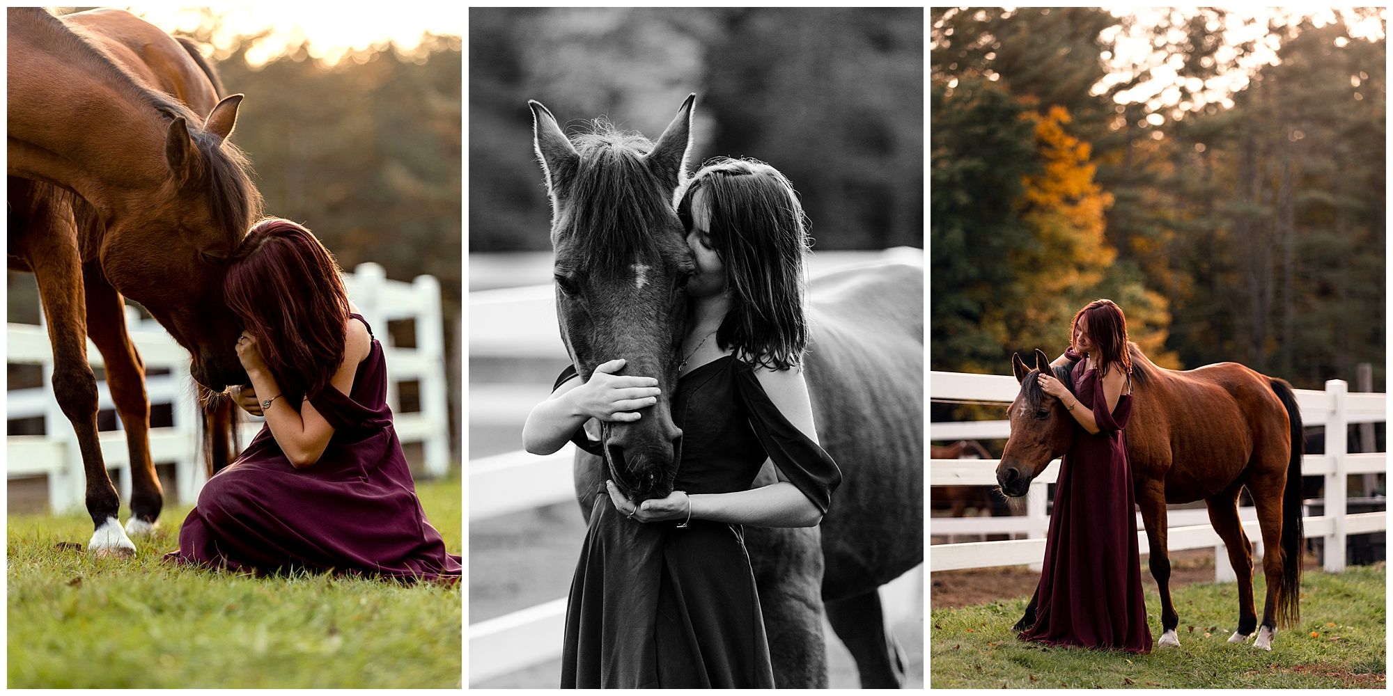 girl and senior heart horse photoshoot portrait session golden hour arabian gown