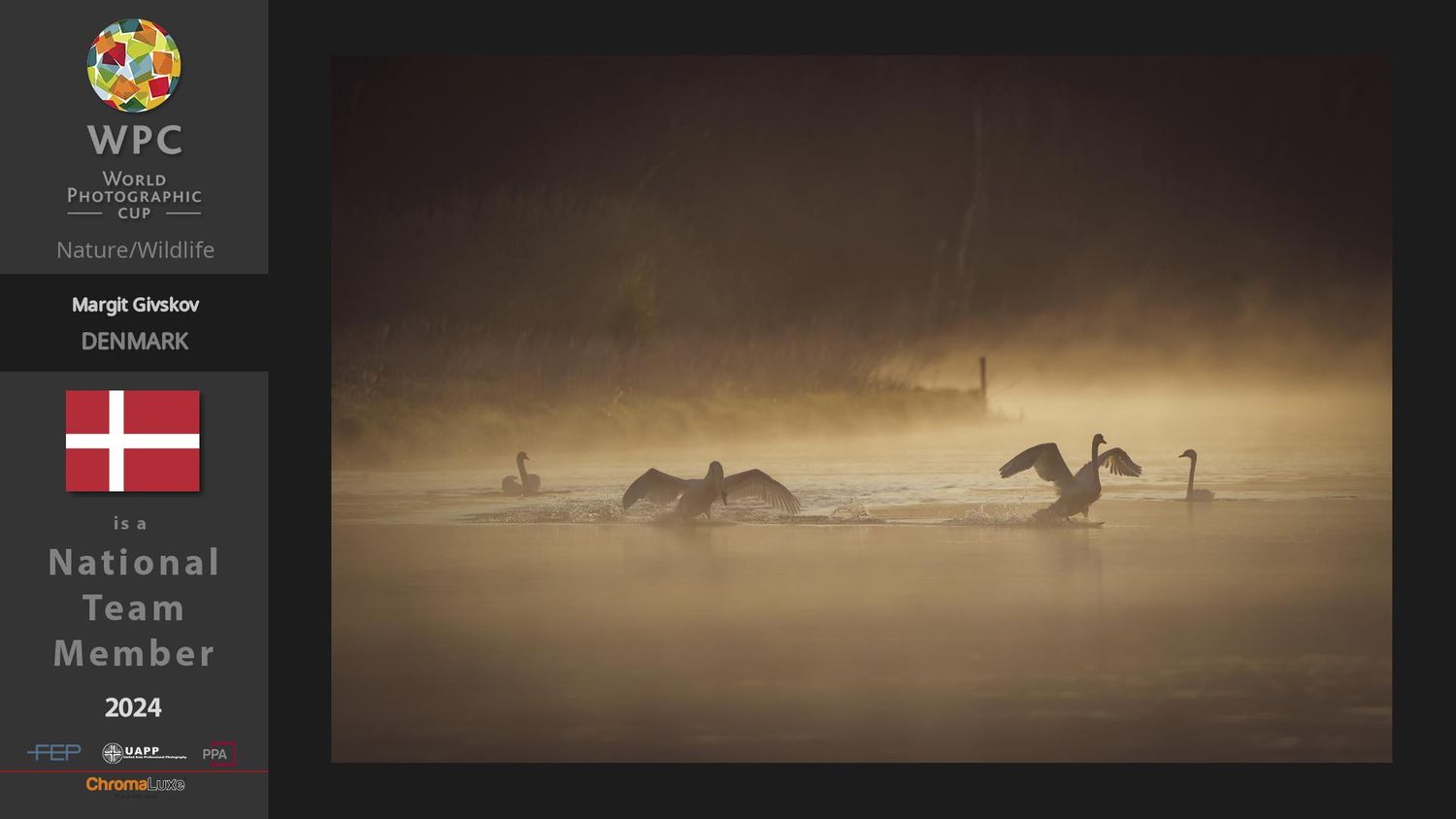 Certifikat der viser at fotograf Margit Givskov er udtaget til det danske fotograflandshold ved world photography cup