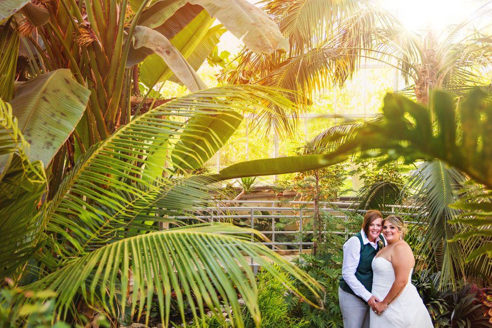 Civic Gardens London Ontario Wedding Photography