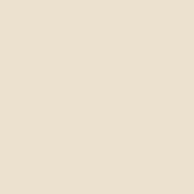 Matte Ivory Metal Album Colour Swatch