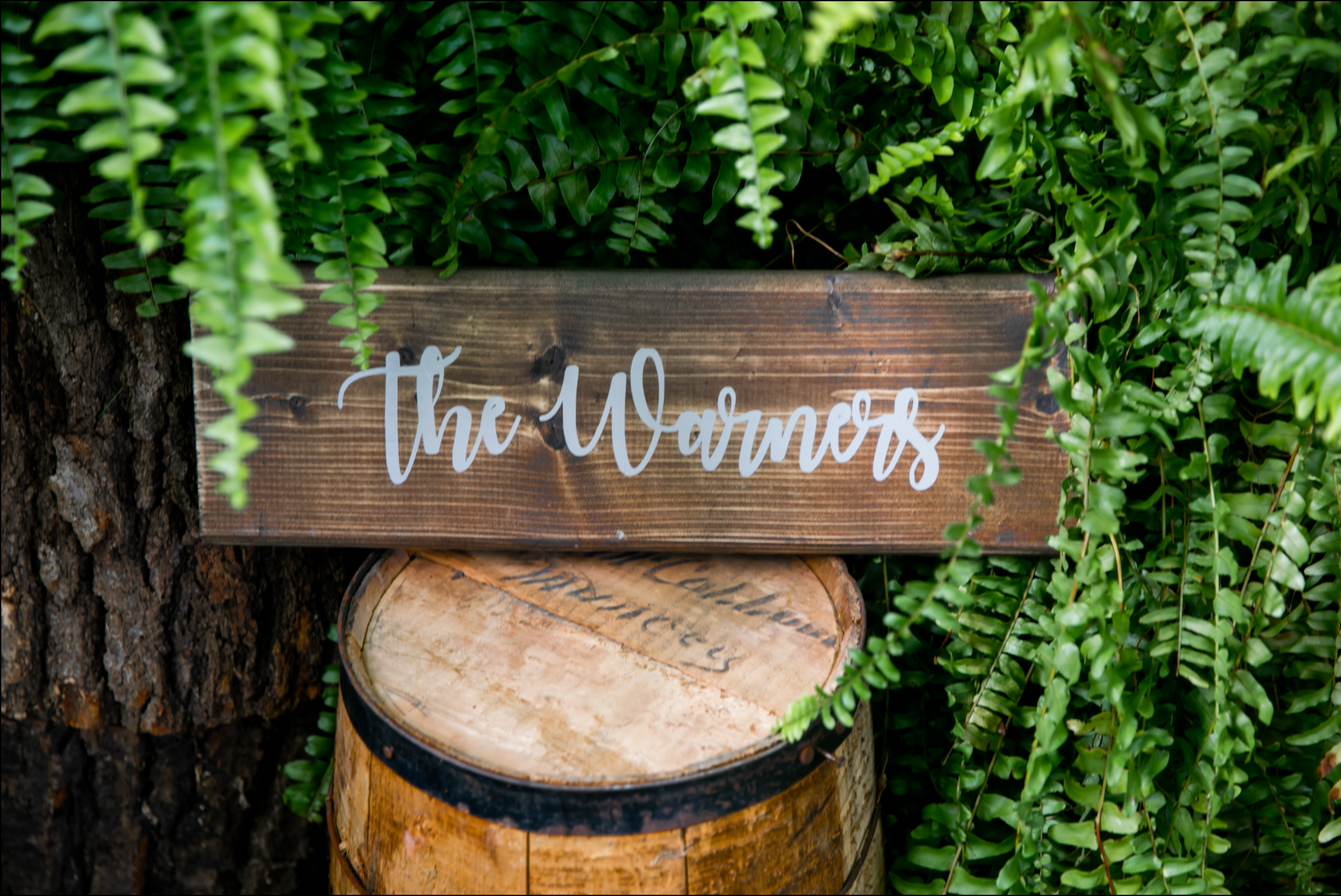 Charming rustic backyard wedding in Mount Brydges Ontario by London photographer Shawn Van Daele