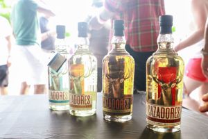Display of artisanal liquor bottles lined up at festival tasting booth.