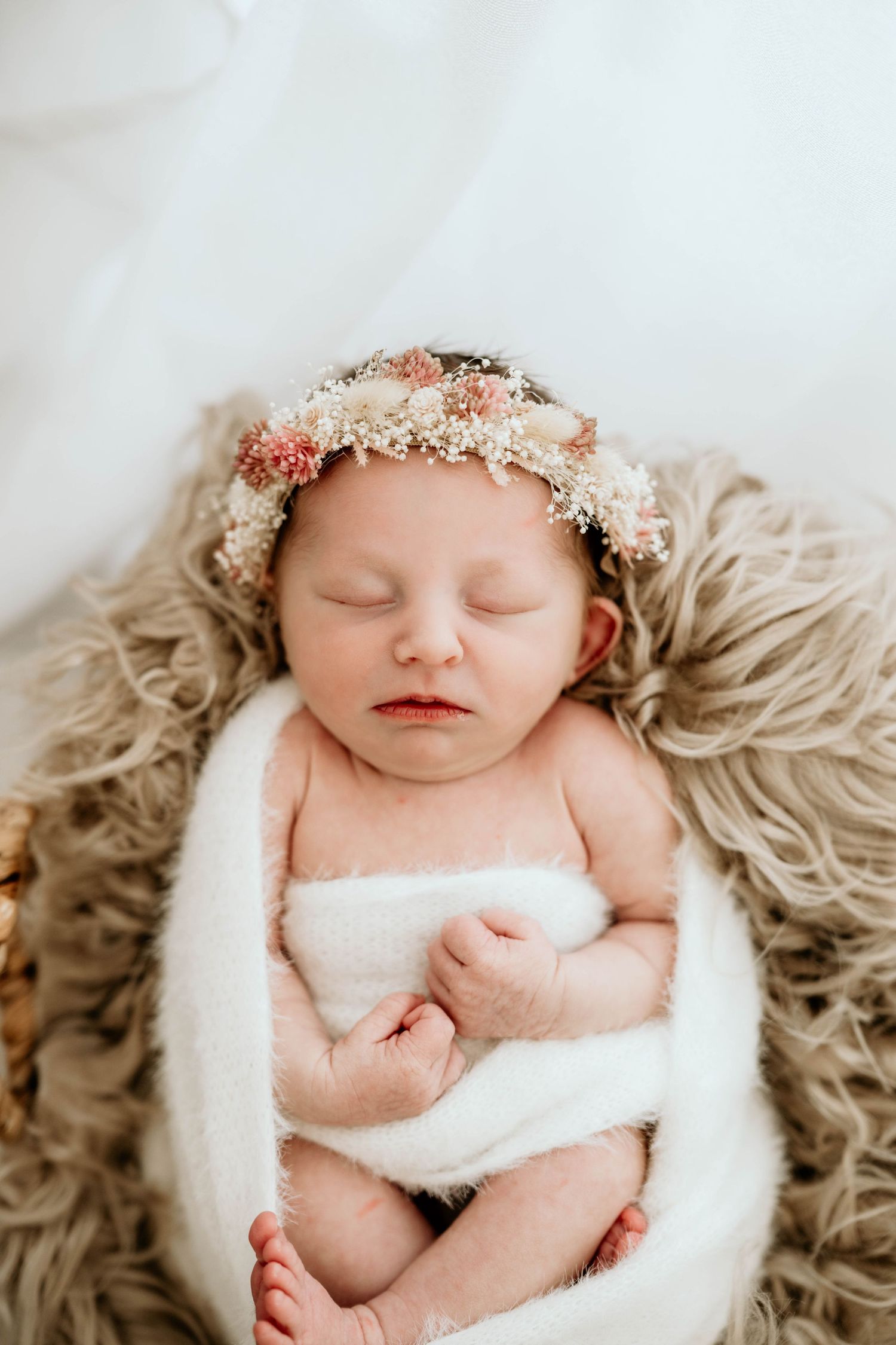 Panama City southport newborn photographer studio lifestyle, neutral, white photorgraphy