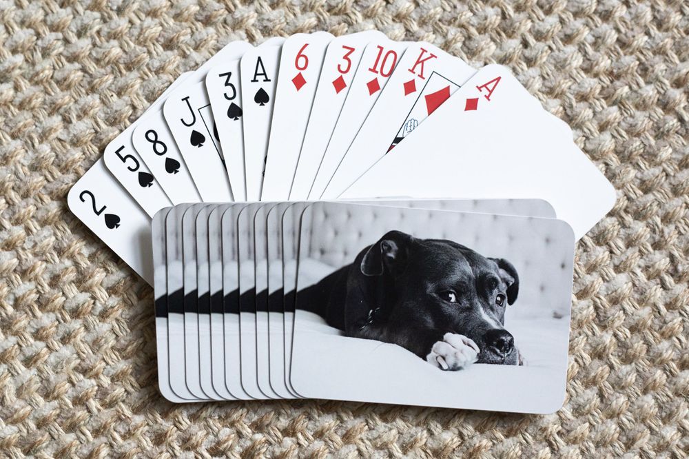 deck of cards, customizable