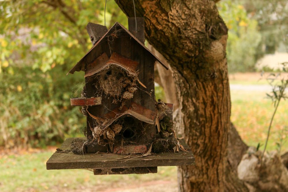 Decorative wooden birdhouse mounted on tree trunk in garden setting.
