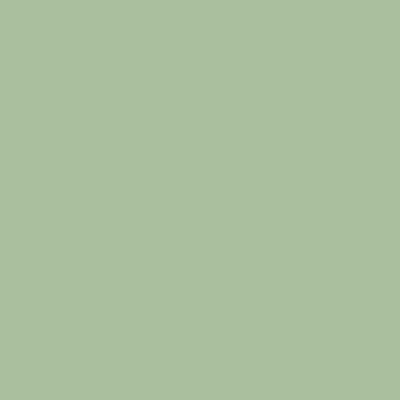 Light Mint Touch Album Colour Swatch