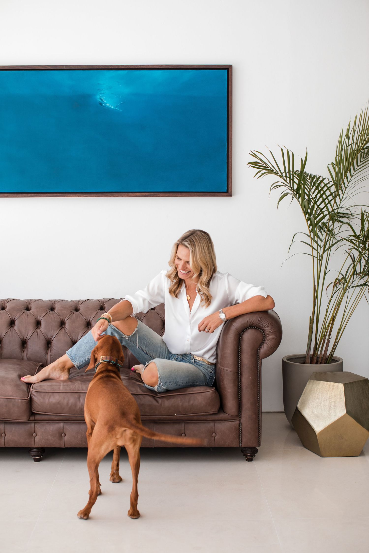Casual moment on brown leather sofa with person in white shirt and jeans playing with vizsla dog near blue artwork and palm.