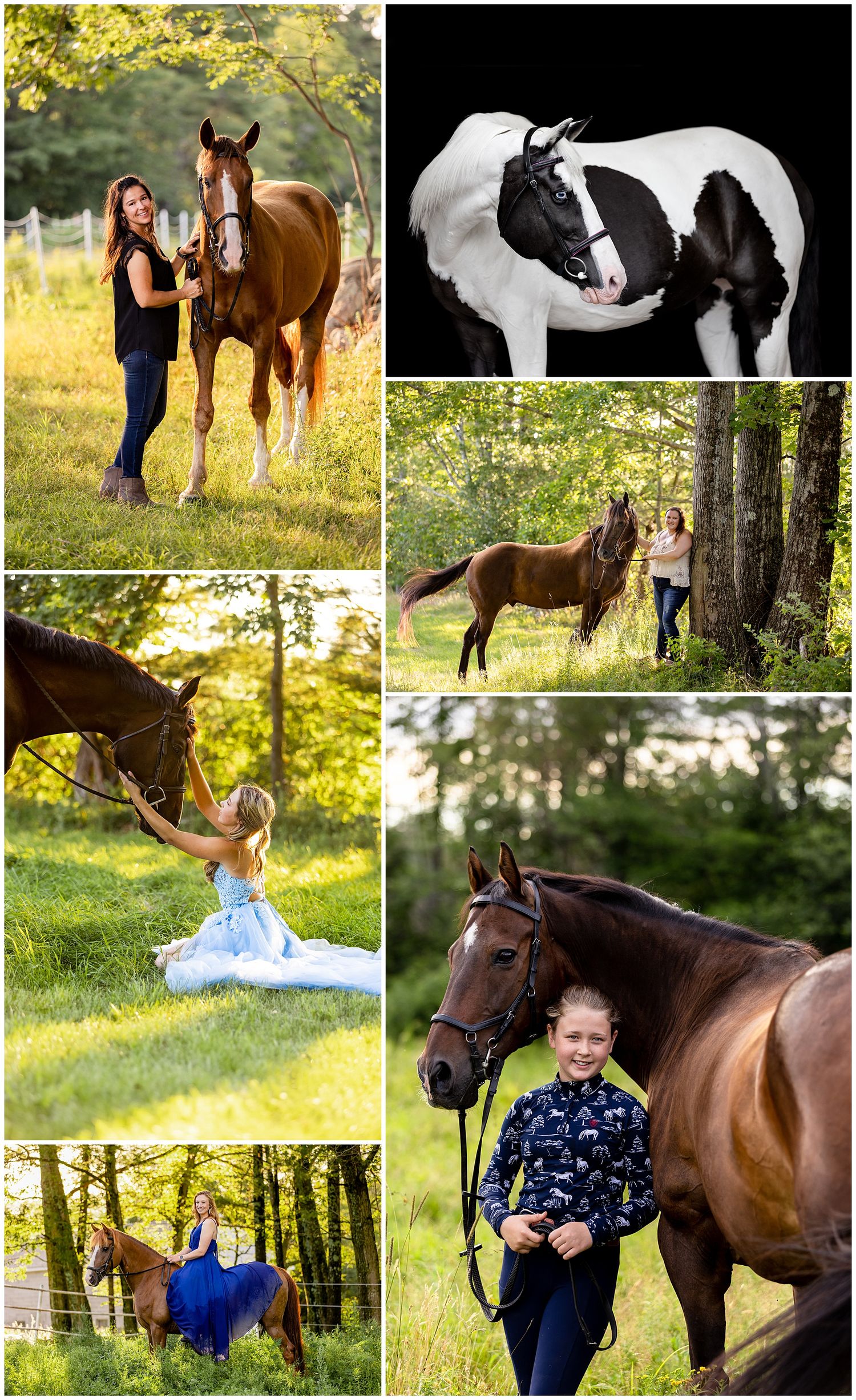 Horse and Rider Photography Sessions 2021