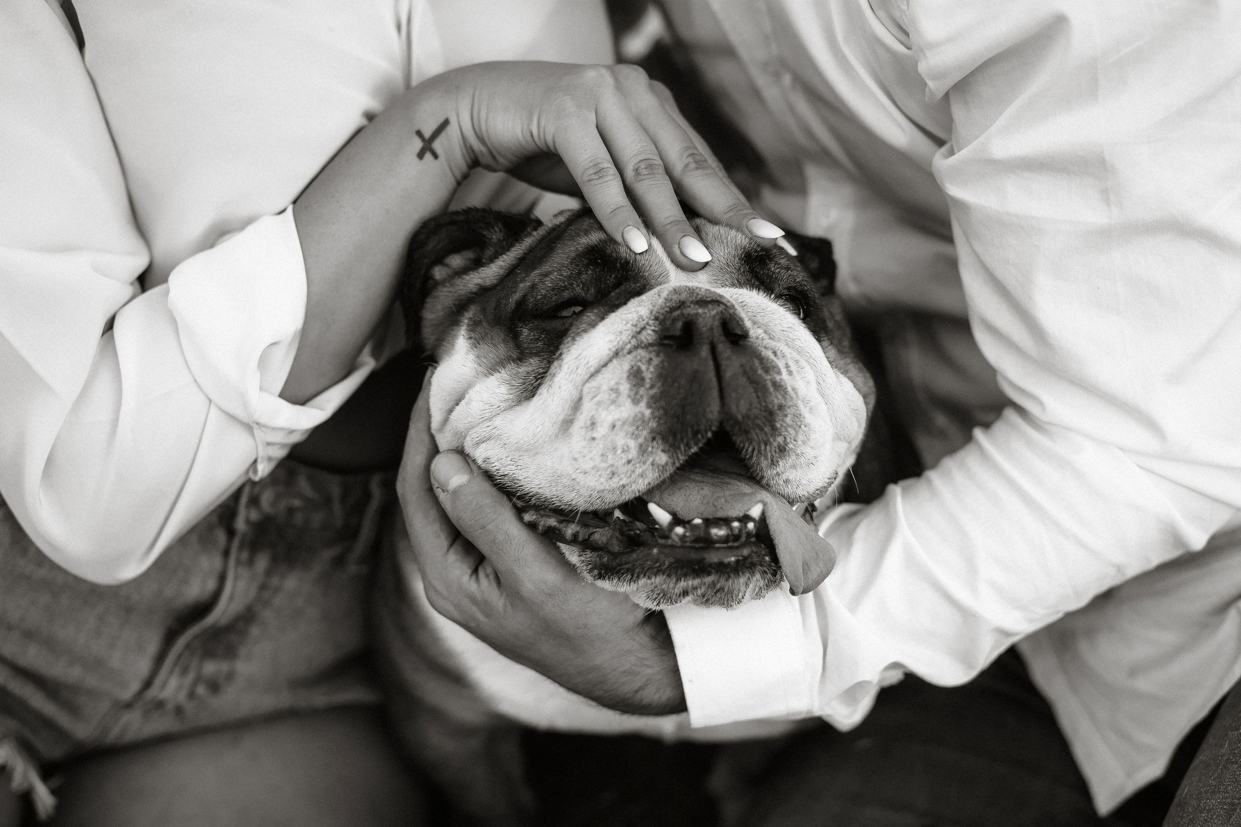 Puglia - couple - prematrimoniale - sessione di coppia - mare - spiaggia- dog - wedding photographer - matrimonio