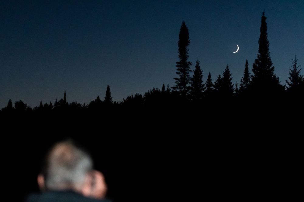 My dad taking a picture of the moon between some trees