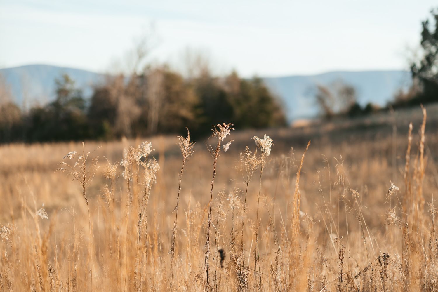 blue ridge mountains, natural bridge Virginia photography landscape photo Emily Butz Richmond