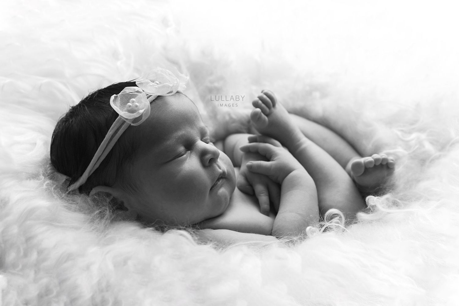 Hong Kong Newborn Photographer Lullaby Images