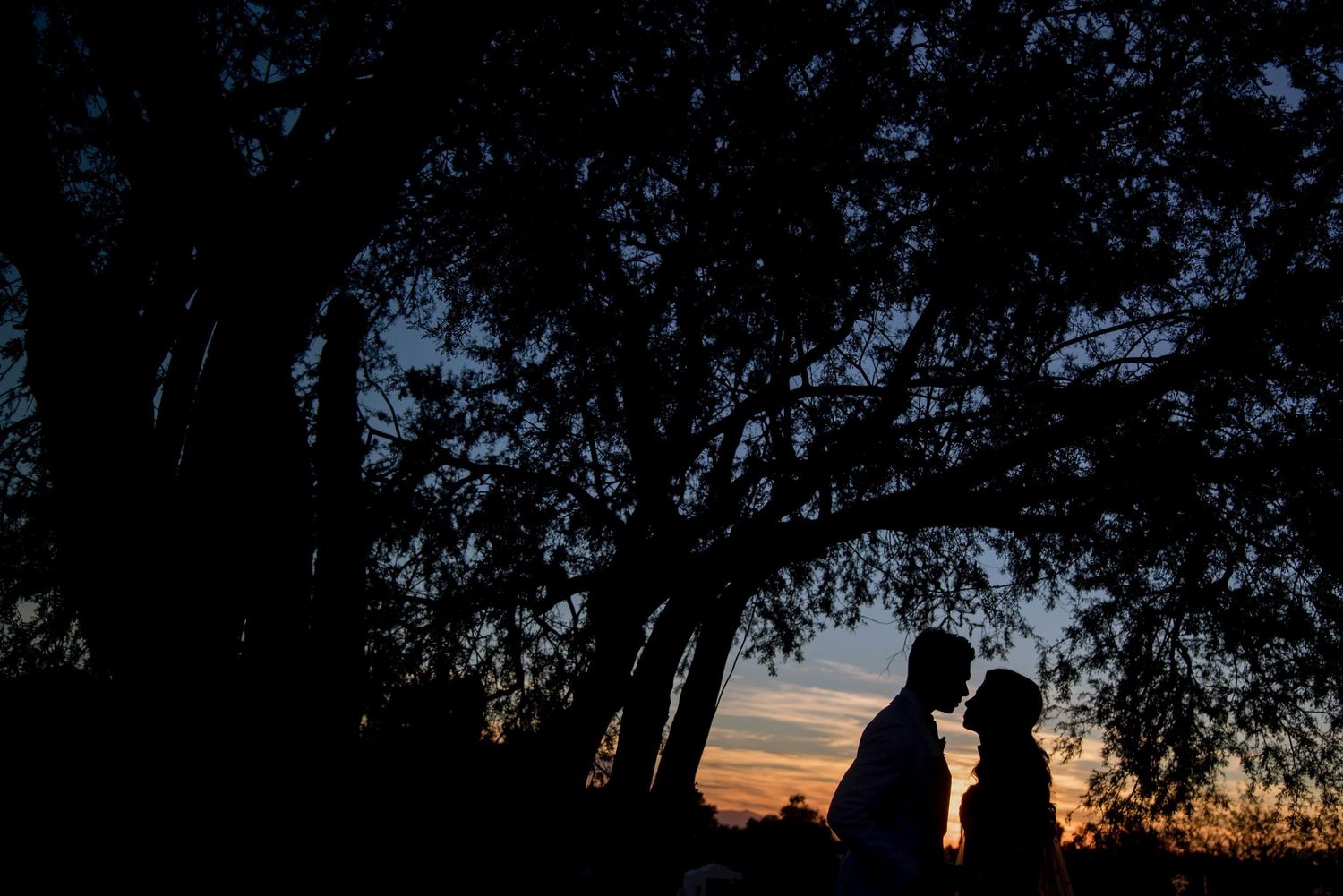 JW Marriott Camelback Inn Wedding Photographer