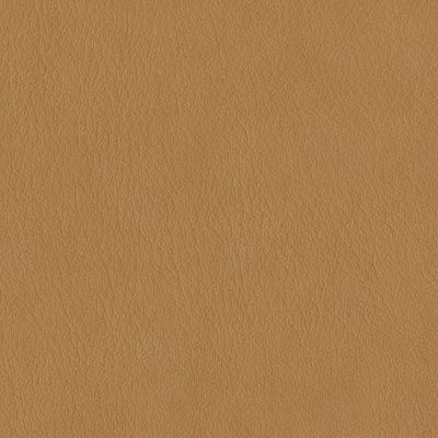 biscuit distressed leather album colour swatch