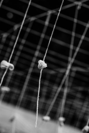 Black and white photo of knotted string hanging in Buddhist temple in Chiang Mai