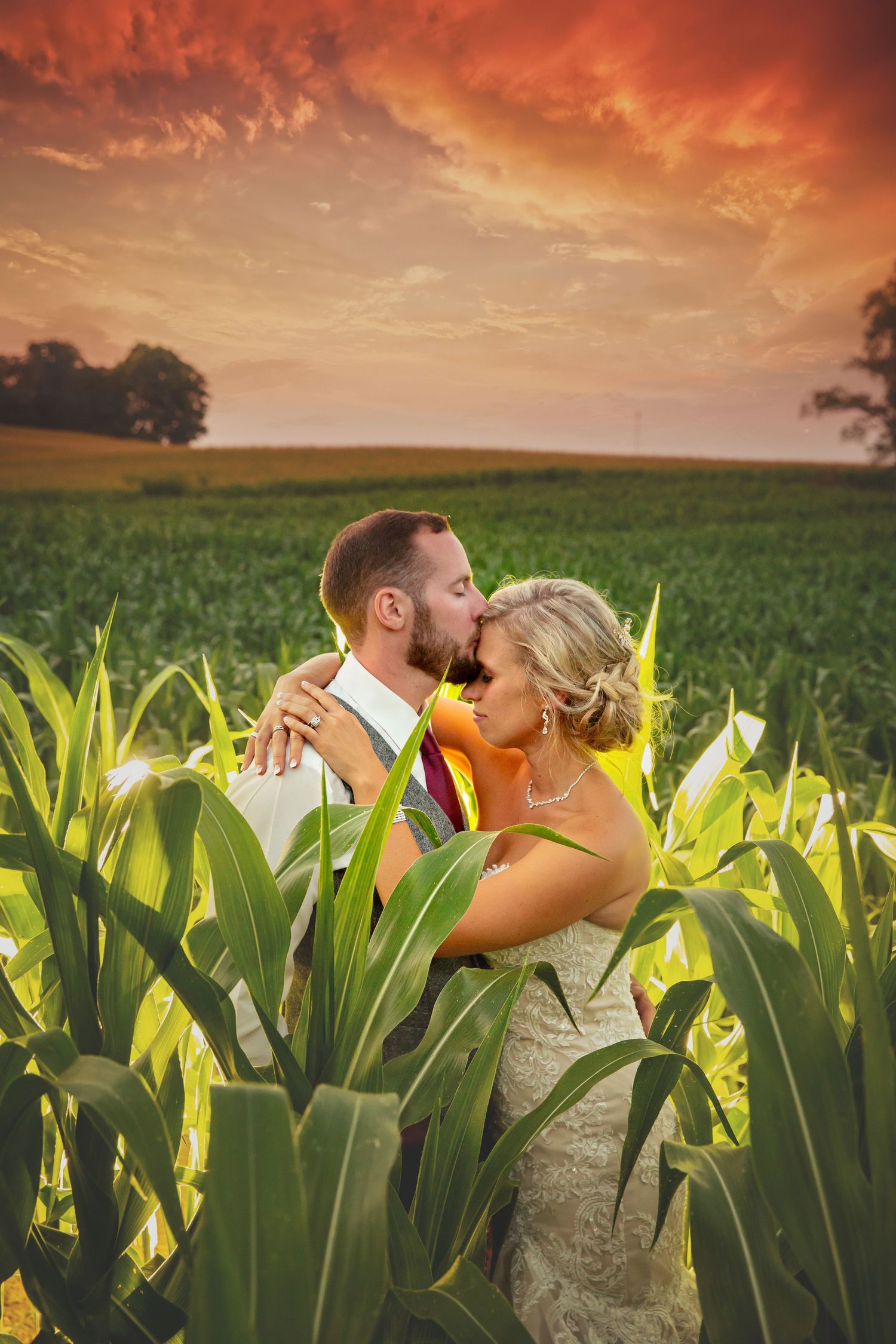 Loves Sweetness Maple Syrup Sugar Bush Sunset Wedding Photos Shawn VanDaele