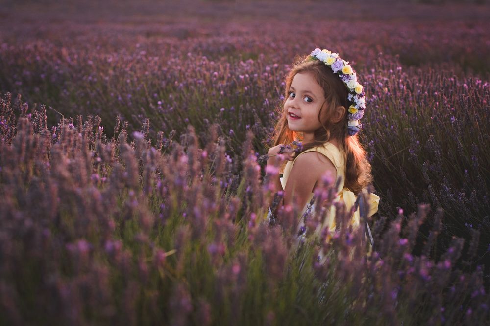 Hitchin Lavender Photo sessions