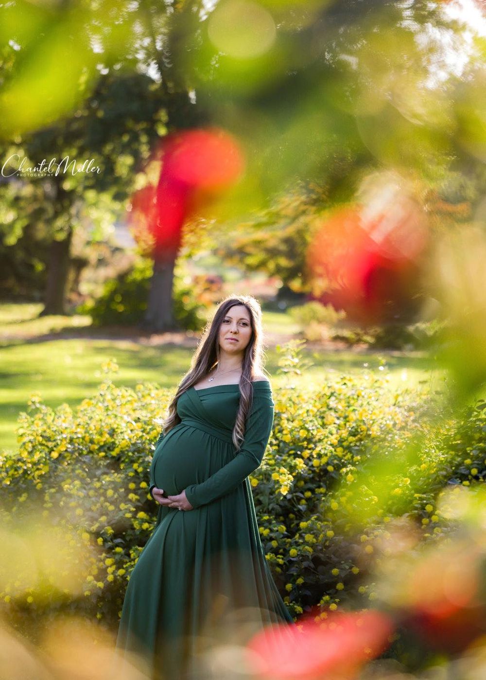 Maternity Mom surrounded by roses
