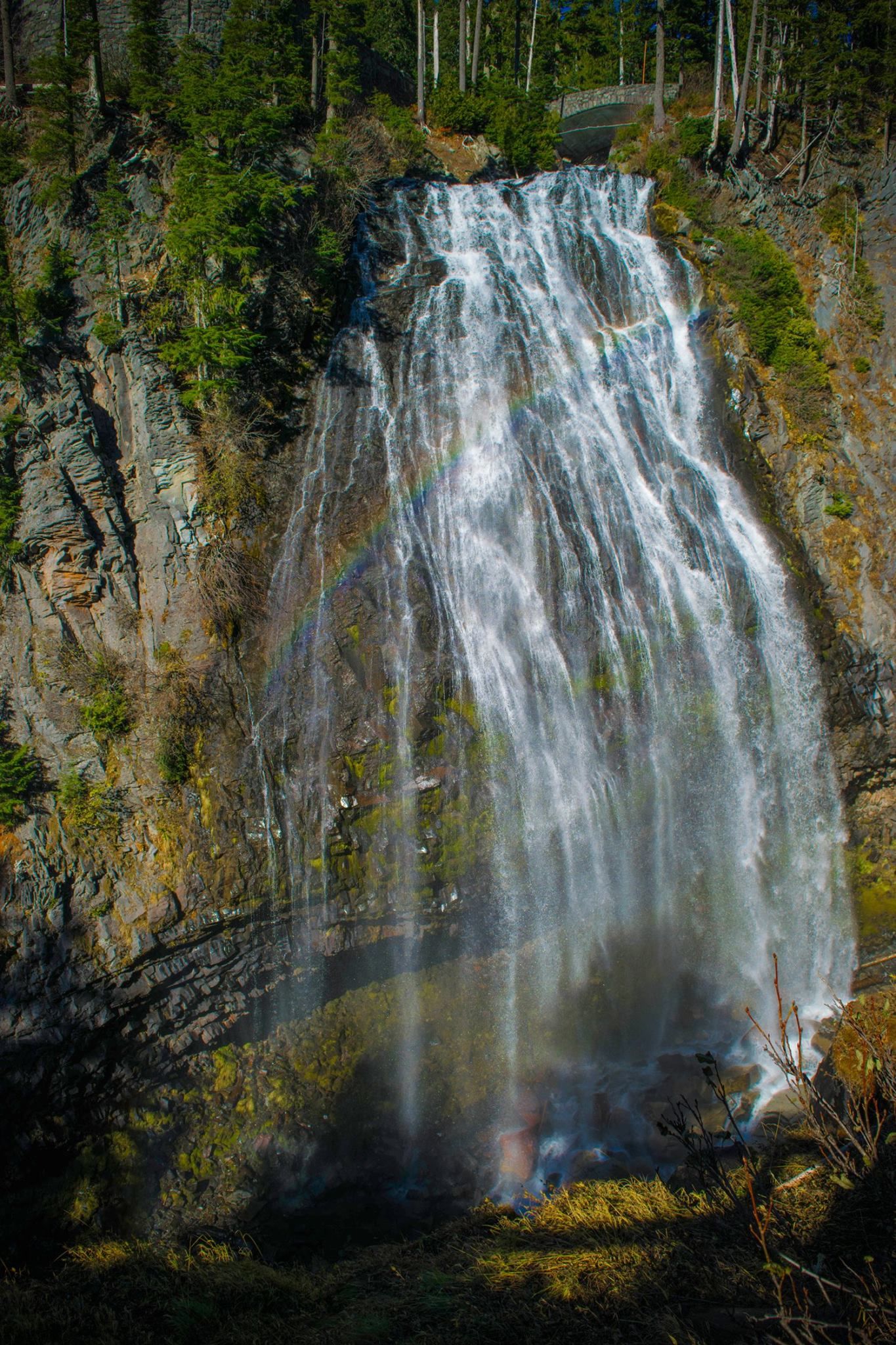 Majestic waterfall cascades down a rocky cliff surrounded by evergreen forest.