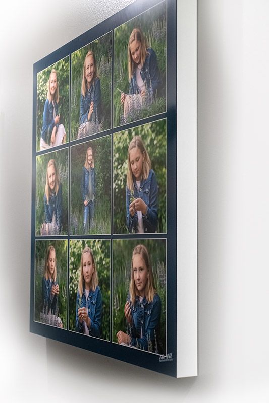 wall portrait display of teenage girl in flower field Coeur d' Alene photographer luba wold