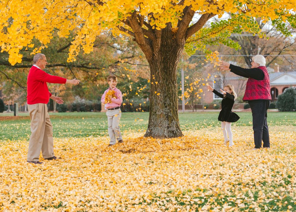 fall, yellow leaves, family portrait, grandparents playing with kids, Richmond family portrait photographer, Emily Butz