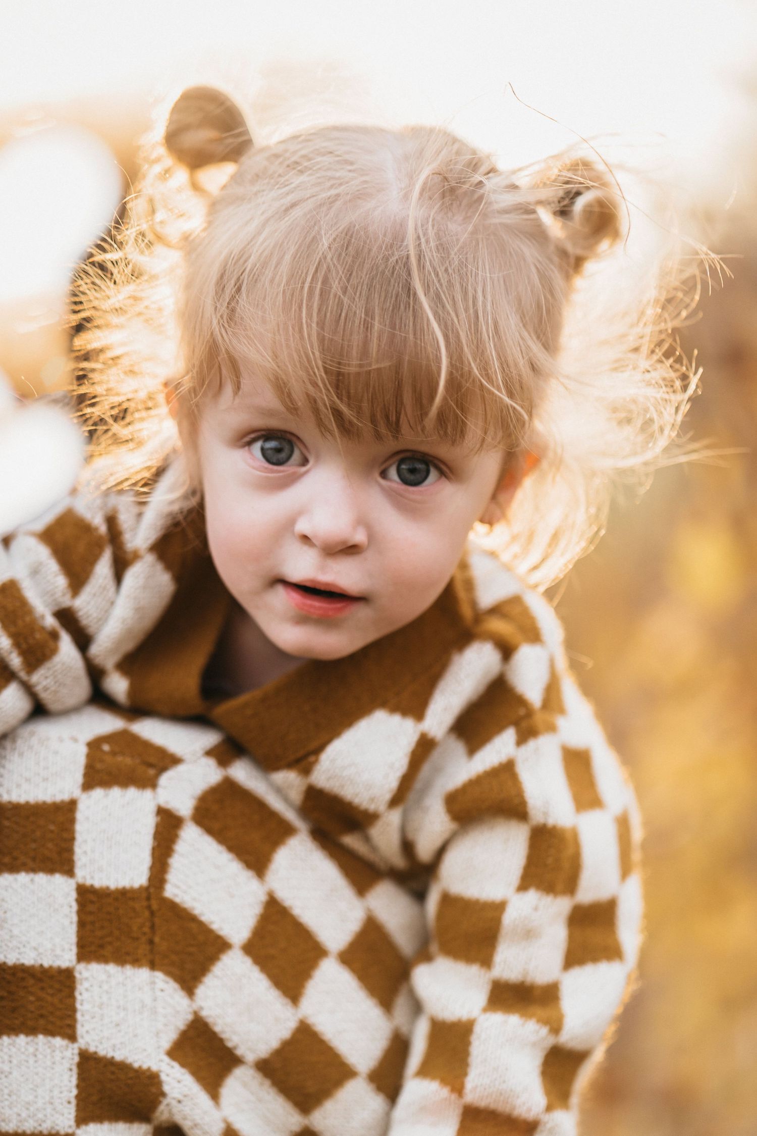 Photo Session of little Addie