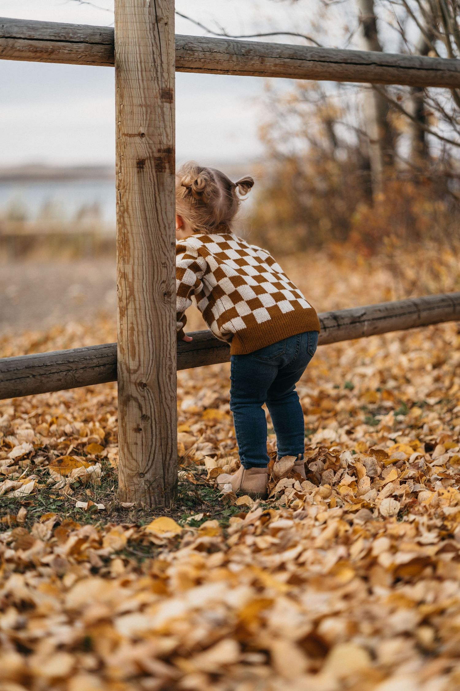 Grande Prairie Photographer photo of little girl observing the beautiful fall view at Saskatoon Island Provincial Park